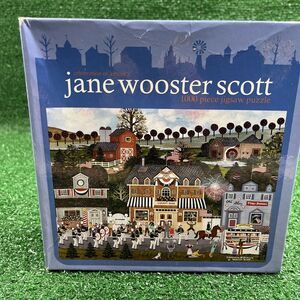 Jane Wooster Scott: Celebration Of‎ America 1000 Piece Puzzle New